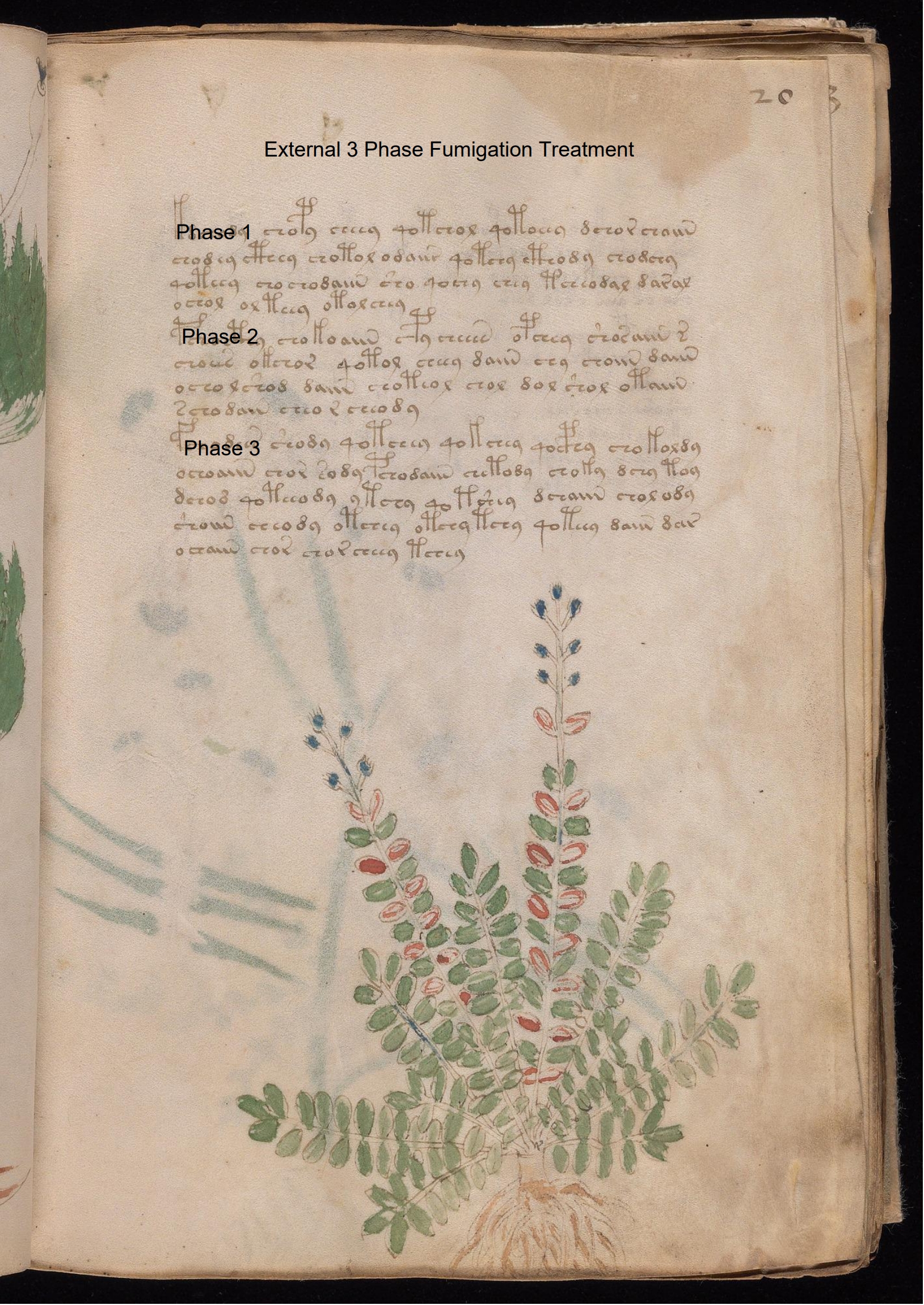 Secondary labelled diagram of Folio 20r